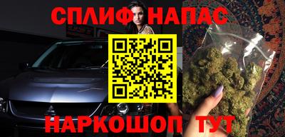 стаф Дубна