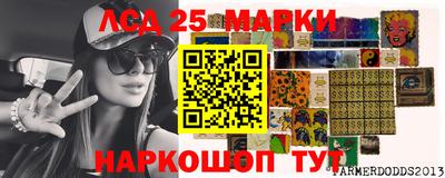 стаф Дубна