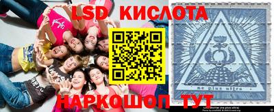 стаф Дубна
