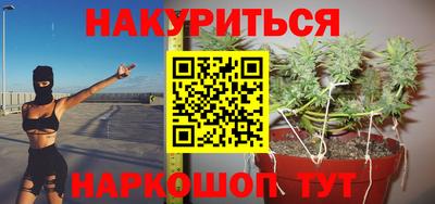 стаф Дубна