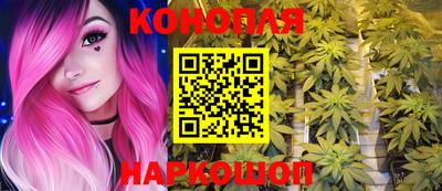 стаф Дубна