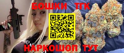 стаф Дубна