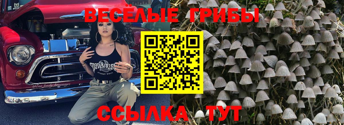 Псилоцибиновые грибы Psilocybine cubensis  Вход с VPN  Мариинск 