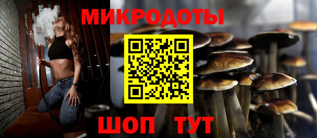 Псилоцибиновые грибы мицелий Мариинск